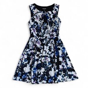 Express Multicolor Floral Dress